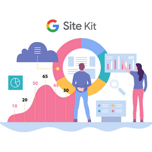 Google Site Kit